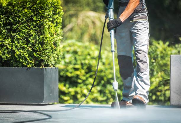 Pre-Holiday Cleaning in Orland Hills, IL